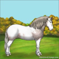 Horse Color:Chestnut Ice Sabino Splash Near Fewspot 