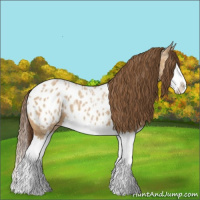Horse Color:Bay Ice Dun Sabino Splash Appaloosa