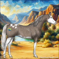 Horse Color:Silver Black Splash Snowflake Varnish 