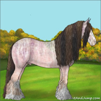 Horse Color:Plaid Bay Ice Sabino Appaloosa