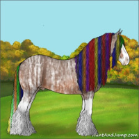 Horse Color:Painted Bay Ice Sabino Splash Appaloosa 