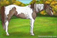 Horse Color:Liver Chestnut Tobiano