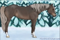 Horse Color:Silver Black 