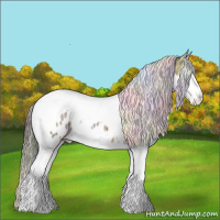 Horse Color:Nacre Brown Ice Sabino Splash Tobiano Appaloosa 