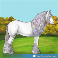 Horse Color:Nacre Bay Ice Sabino Splash Appaloosa 