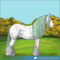 Horse Color:Painted White Spotted Black Ice Splash Appaloosa