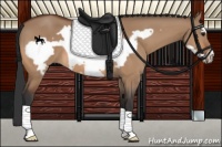 Horse Color:Bay Dun Frame 