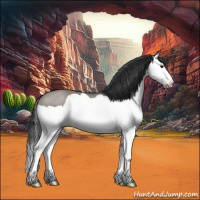 Horse Color:Grullo Splash Rabicano 