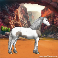 Horse Color:Silver Grullo Splash Tobiano 