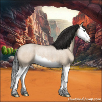 Horse Color:Brown Roan Dun Splash Rabicano 