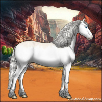Horse Color:Cremello Ice Roan Splash 