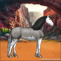 Horse Color:Grullo Roan Splash 