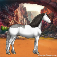 Horse Color:Smoky Black Ice Splash 