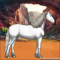 Horse Color:Perlino Roan Dun Splash 