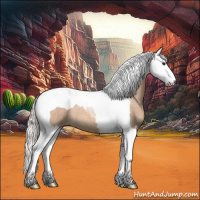 Horse Color:Silver Bay Roan Dun Splash Tobiano