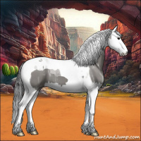Horse Color:Grullo Ice Splash Tobiano 