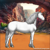 Horse Color:Bay Ice Splash Tobiano 