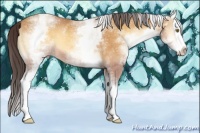 Horse Color:White Spotted Sable Cream Champagne Onyx Splash