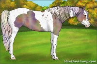 Horse Color:Nacre Silver Black Splash Tobiano 