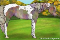 Horse Color:Nacre Silver Black Tobiano Rabicano