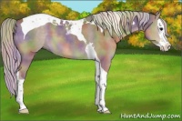 Horse Color:Nacre Silver Grullo Splash Tobiano 