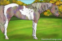 Horse Color:Nacre Silver Black Tobiano 