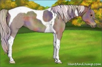 Horse Color:Nacre Silver Black Tobiano 