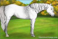 Horse Color:Gray Void Silver Classic Champagne Splash Tobiano 