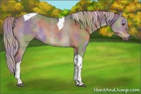 Horse Color:Nacre Silver Grullo Tobiano 