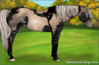 Horse Color:Gray Void Silver Classic Champagne Splash Tobiano