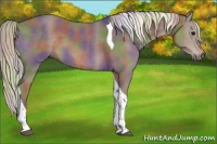 Horse Color:Nacre Silver Black Tobiano 