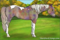 Horse Color:Nacre Silver Black Tobiano 