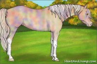 Horse Color:Nacre Silver Classic Champagne Tobiano 