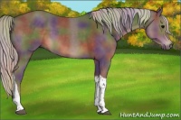 Horse Color:Nacre Silver Black Tobiano 