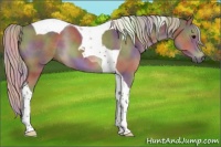 Horse Color:Nacre Silver Black Tobiano 