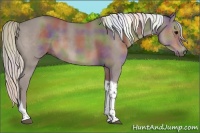 Horse Color:Nacre Silver Black Tobiano 