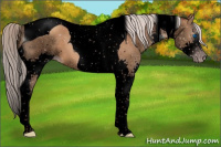 Horse Color:Gray Void Silver Classic Champagne Splash Tobiano 