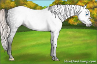 Horse Color:Gray Void Silver Classic Champagne Splash Tobiano