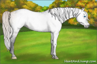Horse Color:Gray Void Silver Classic Champagne Splash Tobiano 