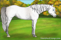 Horse Color:Gray Void Silver Classic Champagne Splash Tobiano 