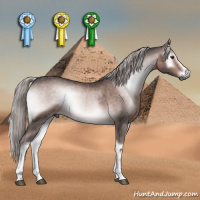Horse Color:Gray Platinum White Spotted Chocolate Palomino Onyx Tobiano 