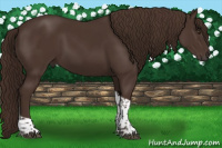 Horse Color:Liver Chestnut Tobiano 