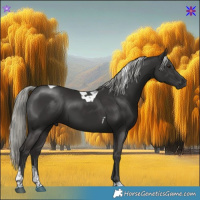 Horse Color:Liver Chestnut Mushroom Tobiano 