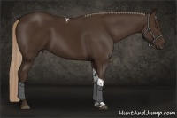 Horse Color:Liver Chestnut Tobiano 
