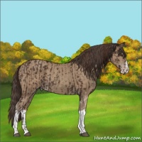 Horse Color:Liver Chestnut Tobiano  and Classic Champagne Splash 