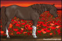Horse Color:Liver Chestnut Tobiano