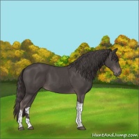 Horse Color:Platinum Liver Chestnut Tobiano 
