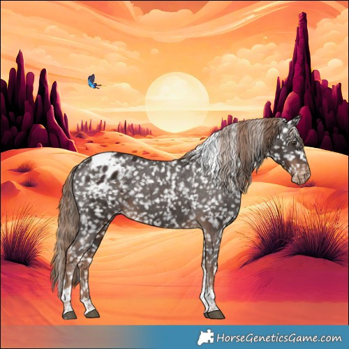 Horse Color:Liver Chestnut Tobiano Appaloosa 