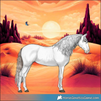 Horse Color:Liver Chestnut Tobiano Appaloosa 