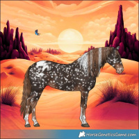 Horse Color:Liver Chestnut Tobiano Snowflake Varnish